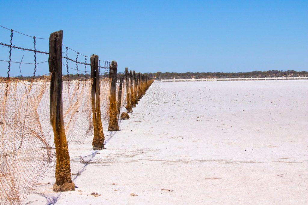 On my trip to outback Australia near Mongers Lake, 184km salt lake on the edge of station country. this is where the Rabbit proof fence crossed to create a rustic visual across the lake