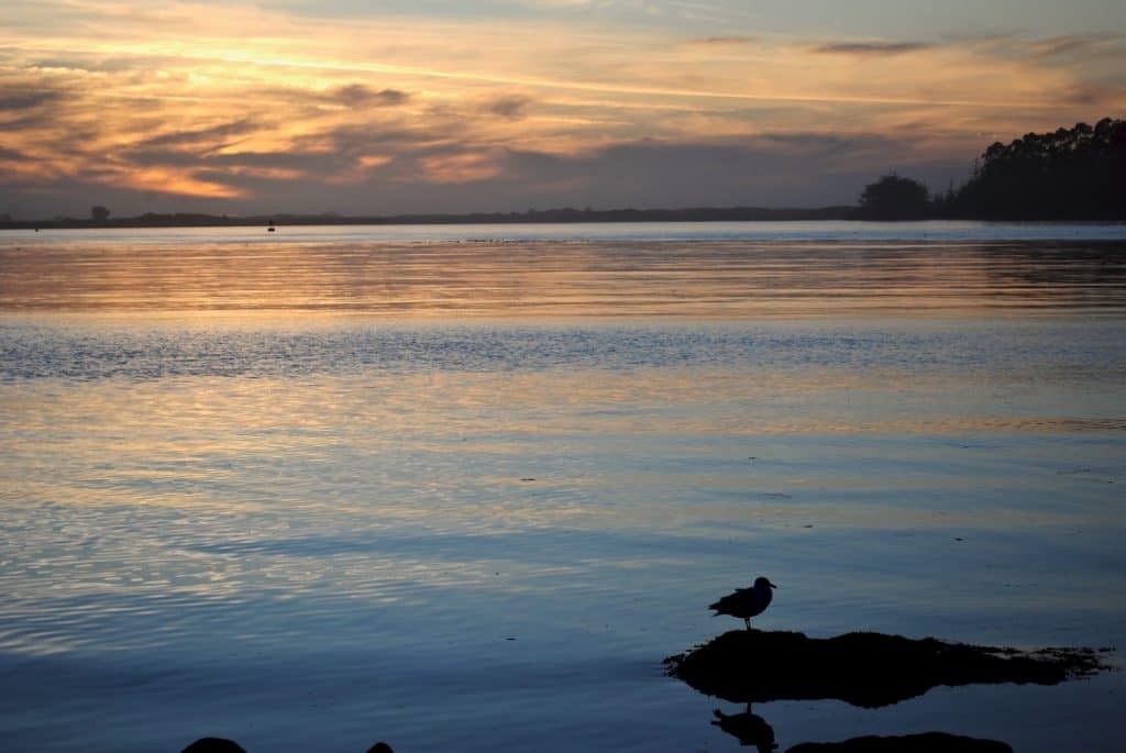 Sunset on Eureka, California's Pacific coast on Humboldt Bay. Humboldt Bay stretches from the sloughs and creeks at Arcata Marsh to the Humboldt Bay National Wildlife Refuge at Loleta.