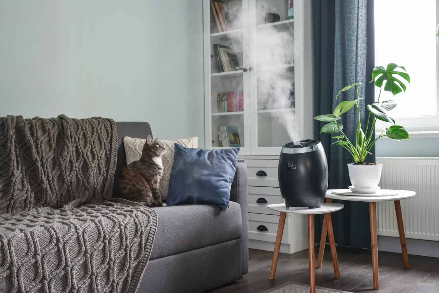 Ultrasonic cool mist humidifier for home on a small table in living room