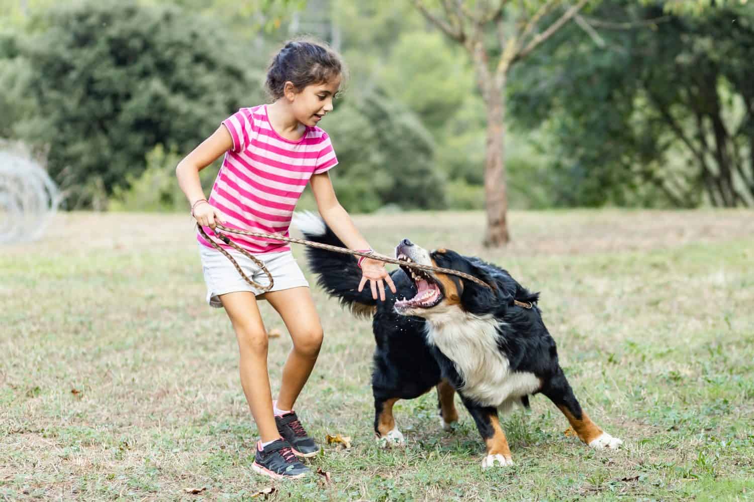 Little girl attacked by a dog