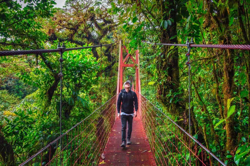 Tourist walking on a hanging suspension bridge in the jungle of Monteverde Cloud Forest, Costa Rica