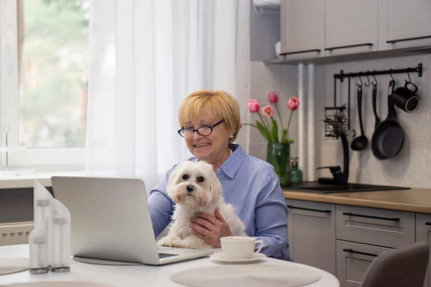 Senior Smiling Woman  with maltese dog has video chat  with grandchildren and  greeting  .  Online  School teacher greeting  with children  E- learning concept . Stay  home  concept.