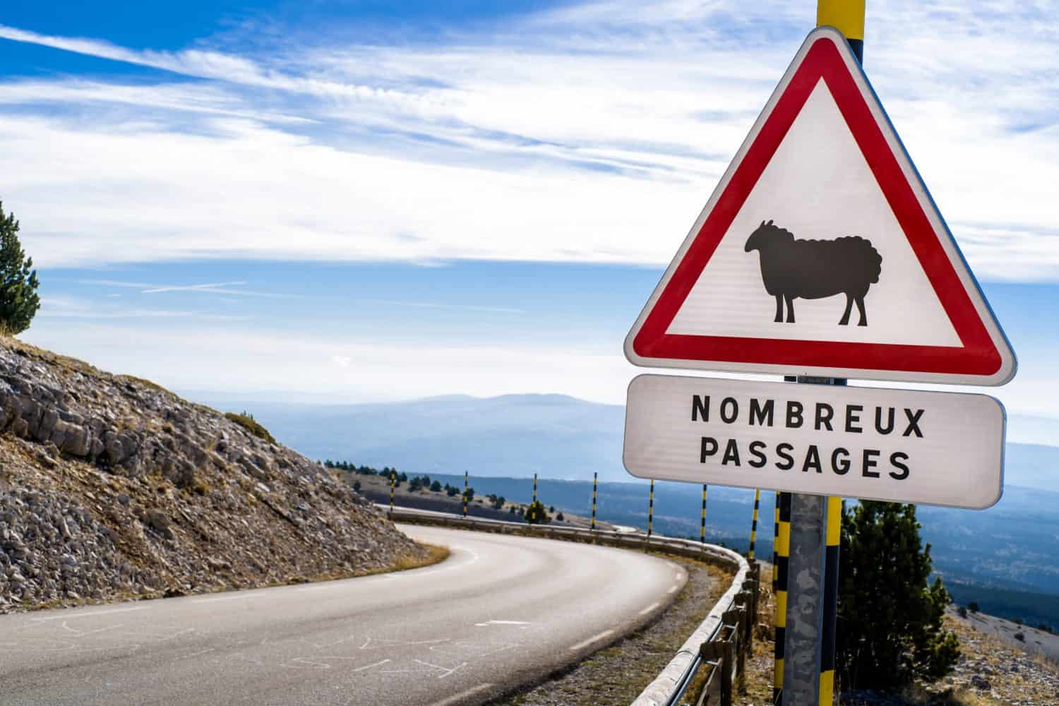 Sheep Road Sign, France, Mountain, ventoux