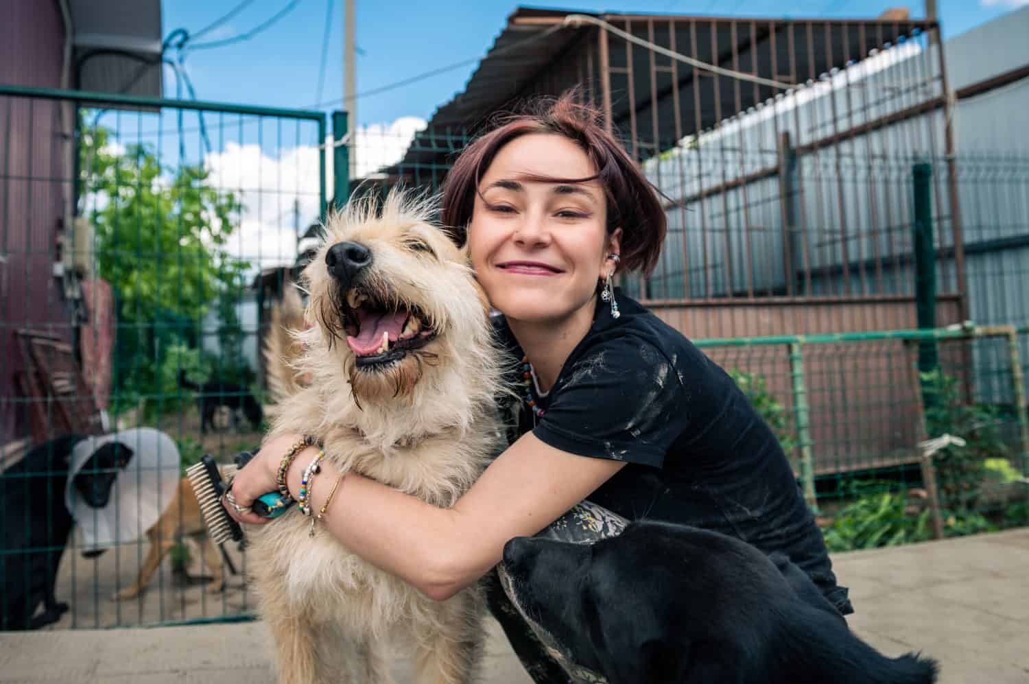 Dog at the shelter. Animal shelter volunteer takes care of dogs. Lonely dogs in cage with cheerful woman volunteer. 