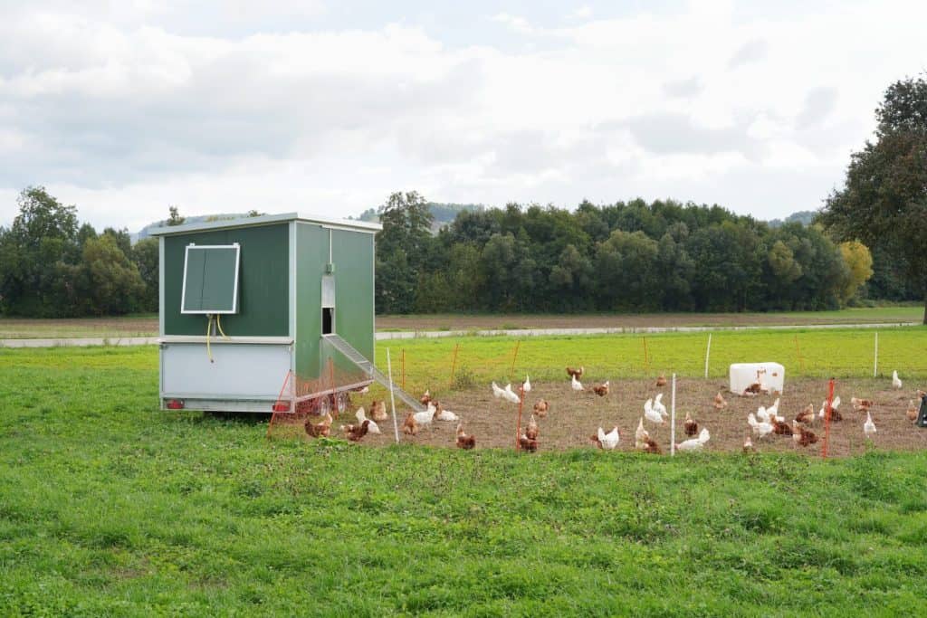 Mobile chicken coop for free range farming
