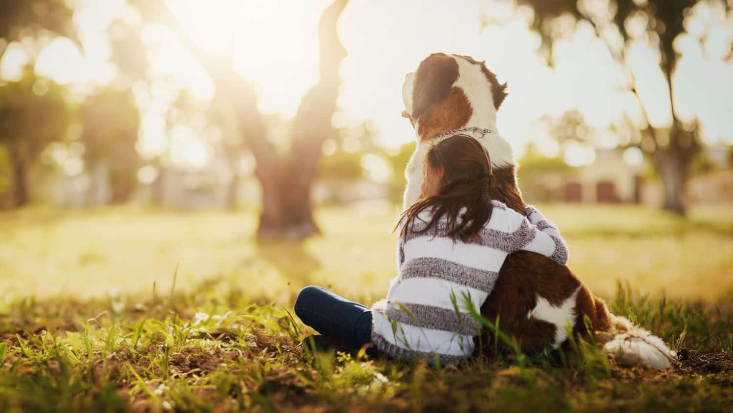 Hug, dog and girl child in outdoor park for affection, friendship or cuddle pet in nature. Back, animal and young kid with embrace for canine companion, Saint Bernard or bonding together with love