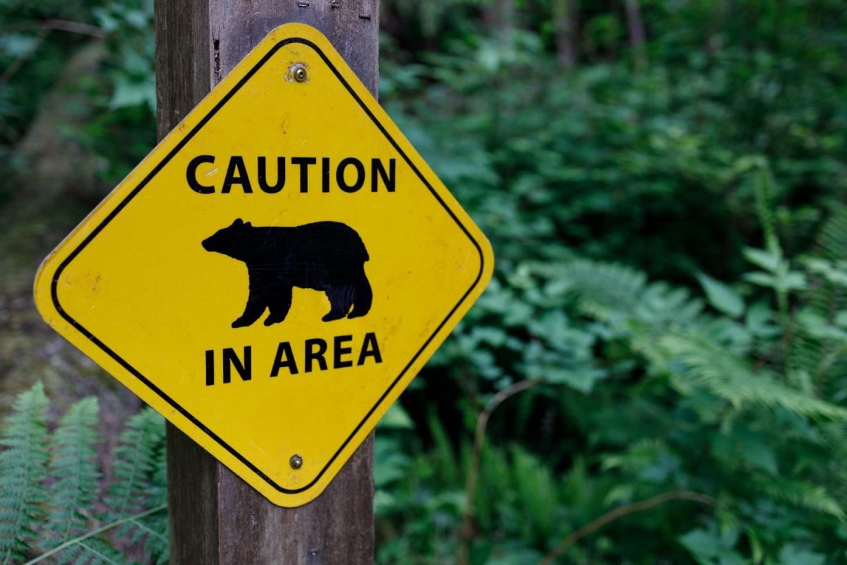 A yellow caution sign with the silhouette of a bear, warning visitors of bear activity in the area