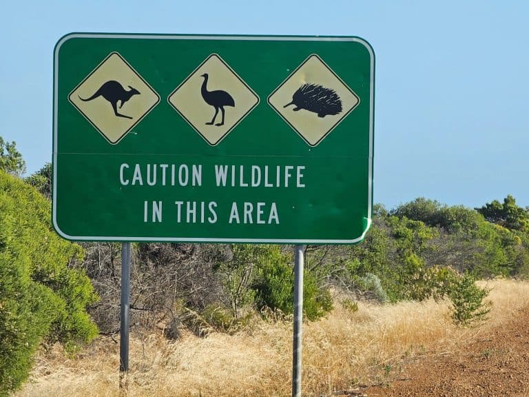 Australian Wildlife Roadsign - kangaroo, Emu, Echidna