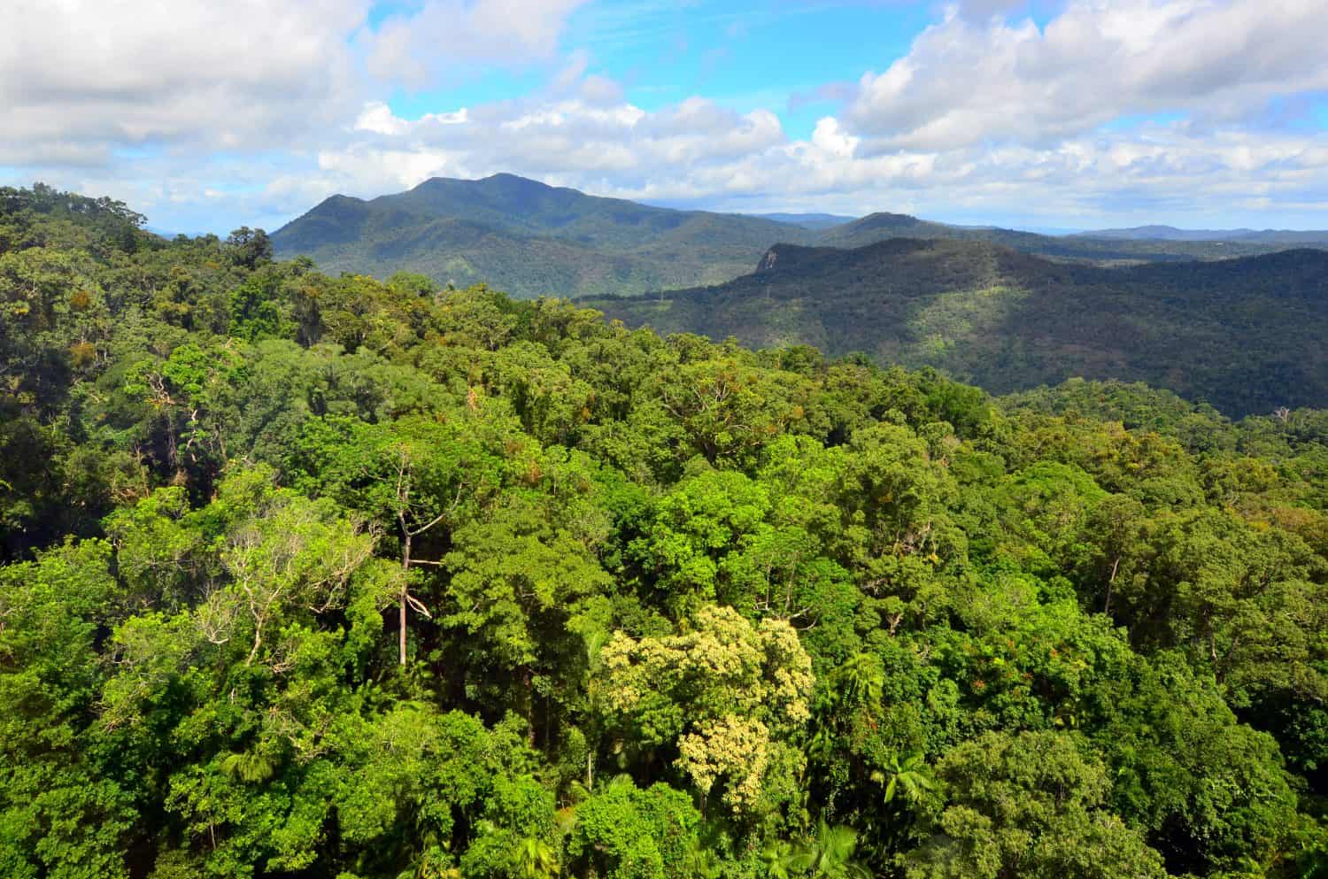 Aerial landscape view of Barron Gorge National Park a World Heritage in Atherton Tablelands / Cairns Highlands at the Wet Tropics of Queensland, Australia. No people. Copy space