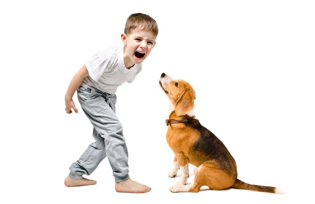 Angry boy screaming at his dog, isolated on a white background