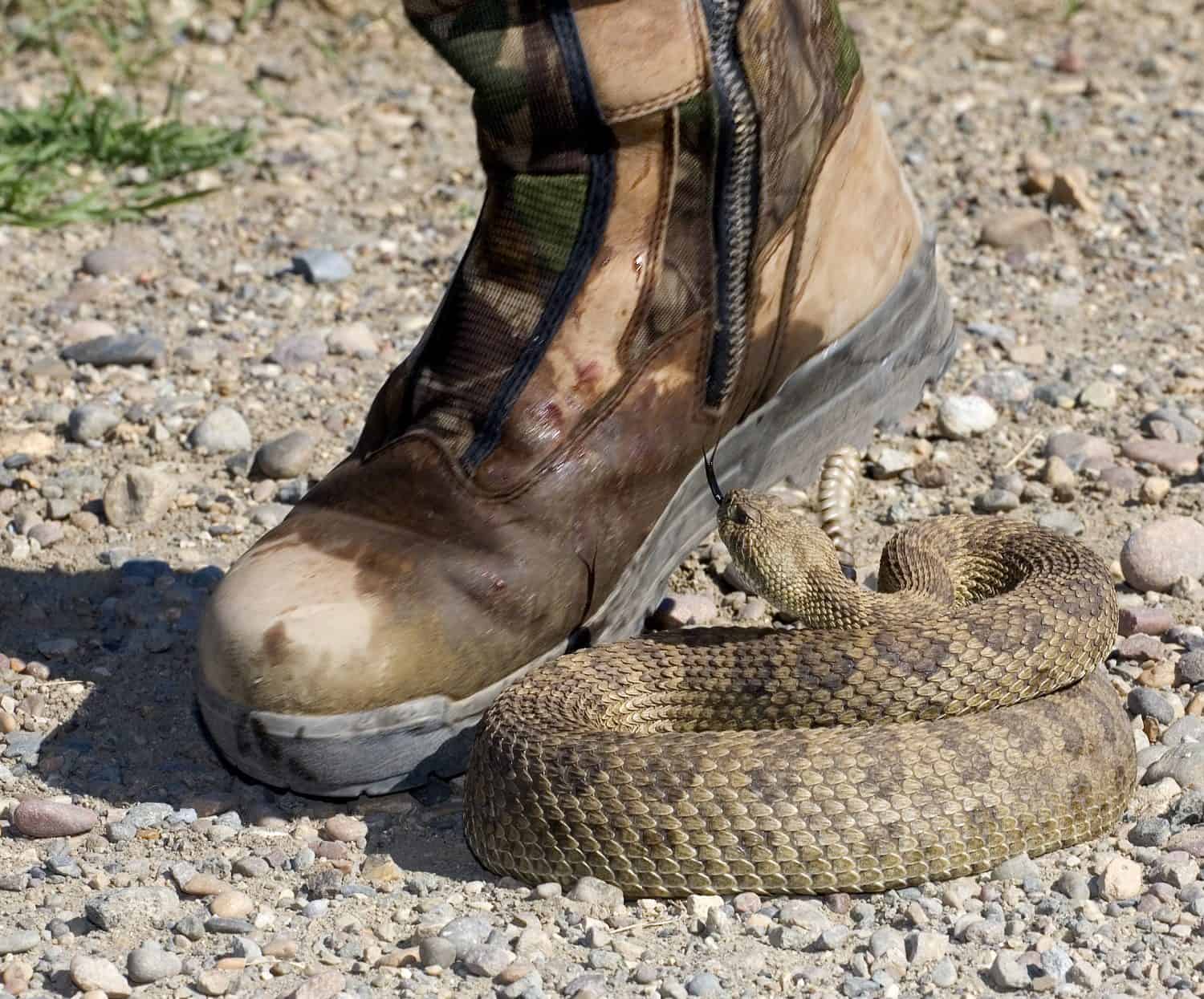 a hiker has stepped in the wrong spot