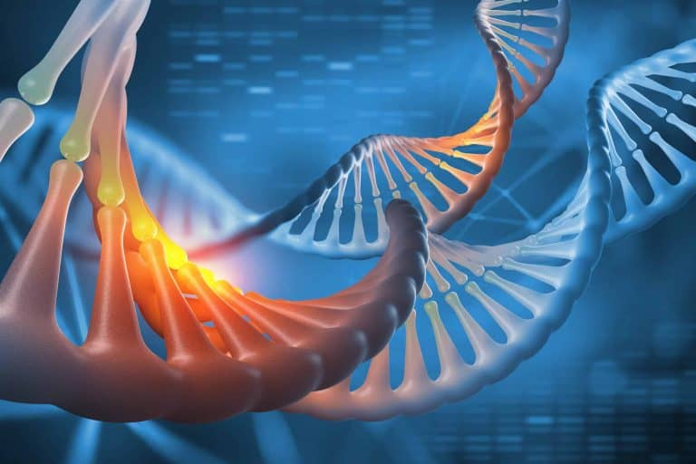 gene therapy