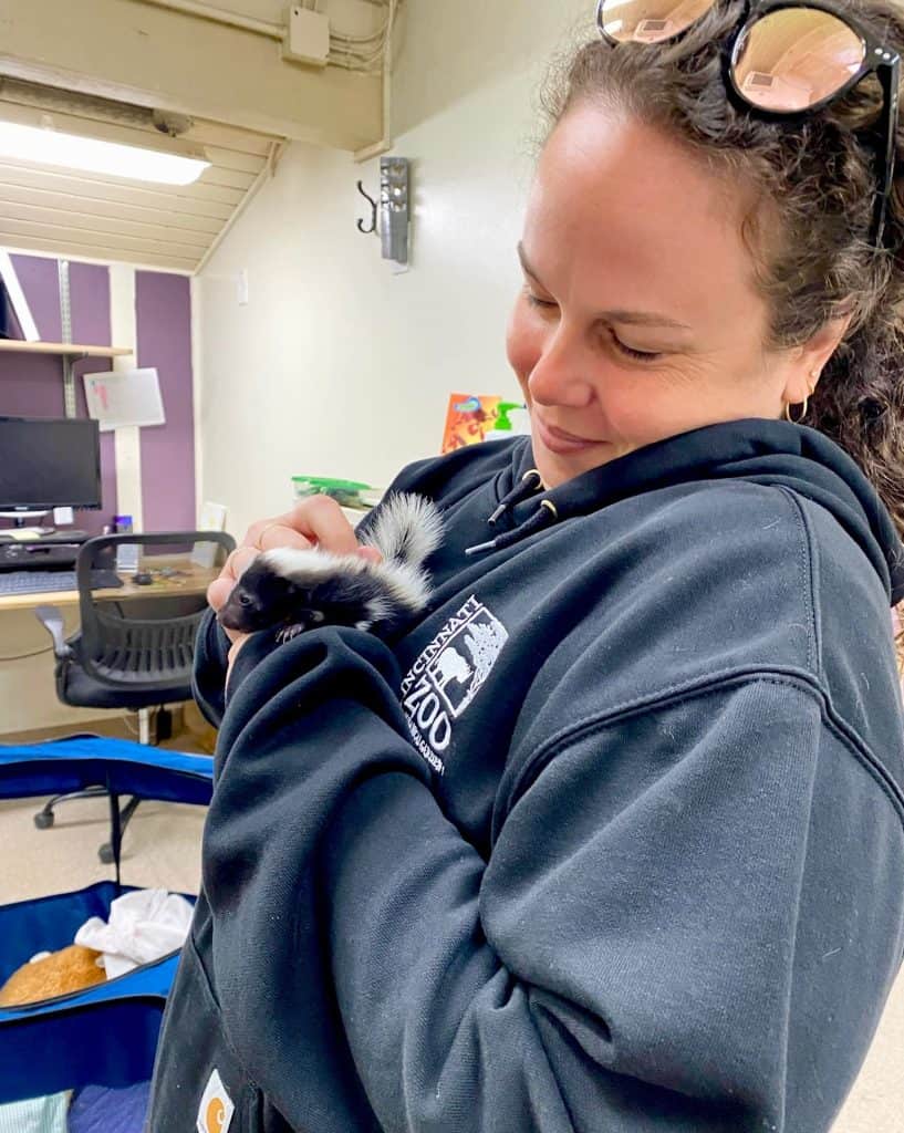 Keeper with baby skunk, Marshmallow