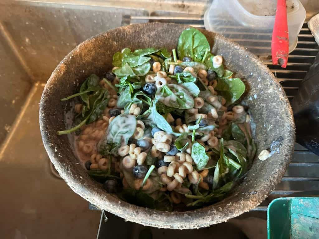 Health bowl provided to Dixon the pig