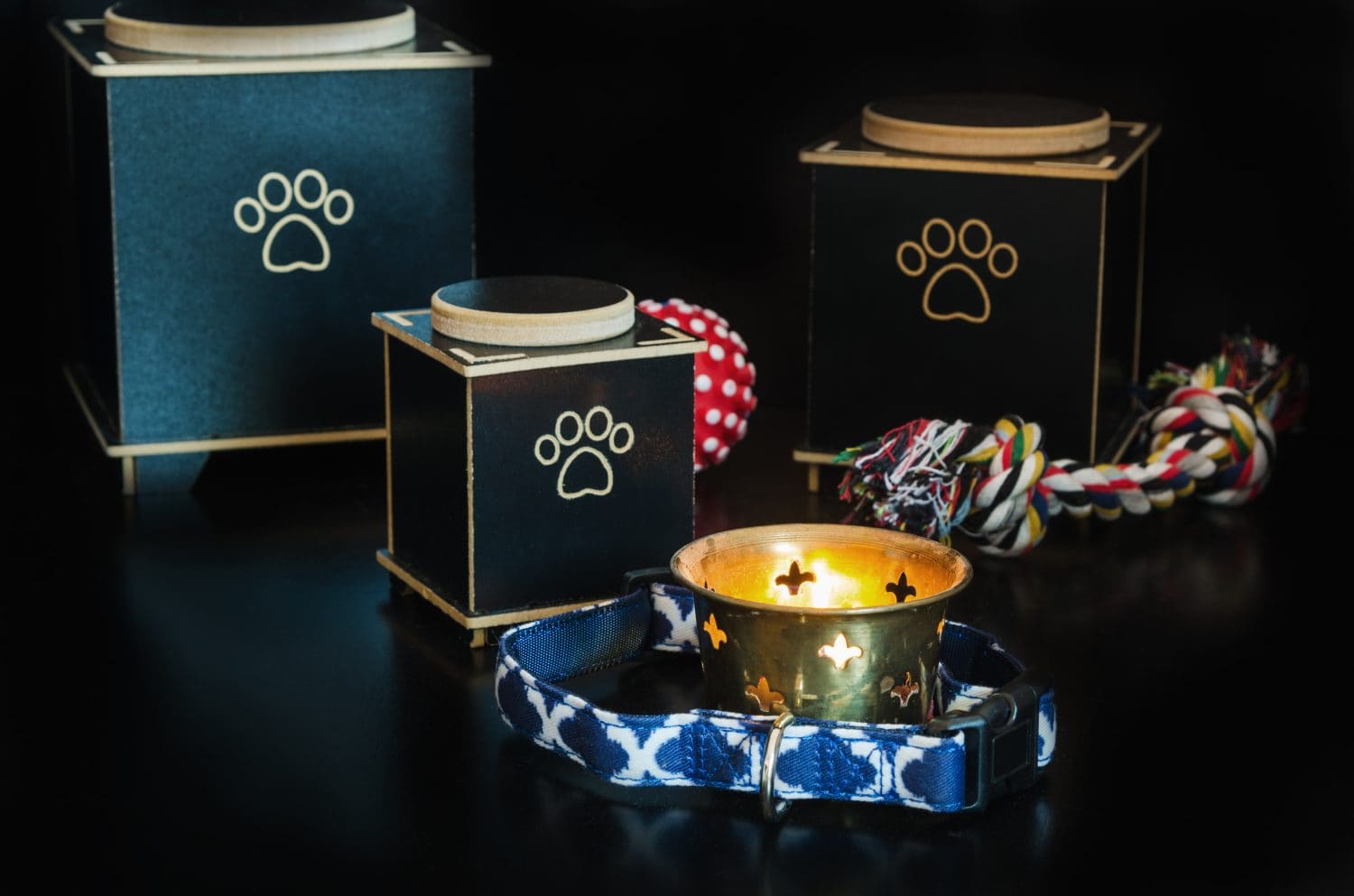 Cremation urn for pets. black background