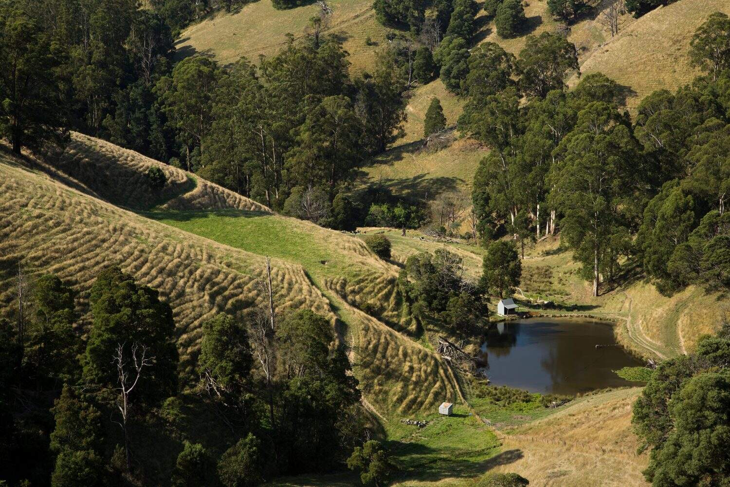 Farm dam at the bottom of a deep valley on the Grand Ridge Road in the Strzelecki Ranges in Gippsland, rural Victoria, Australia.