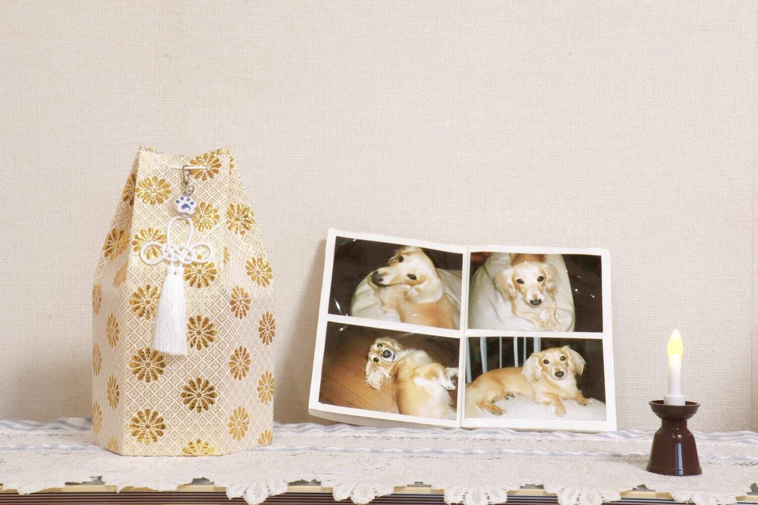 Pictures of deceased miniature dachshunds. Storing the bones of a pet dog in an urn. The candle is shining.