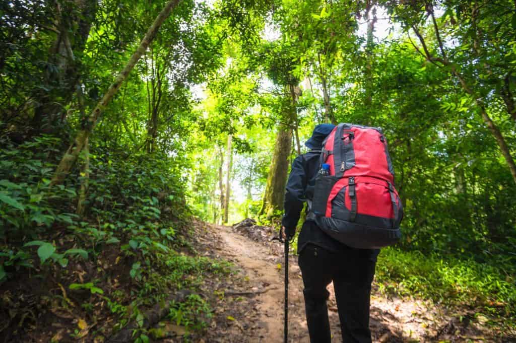 Backpacker trekking to study nature of tropical forest for ecotourism. Tourist trekking to see the beauty of the tropical forest in Khao Yai National Park. UNESCO World Heritage Area, Unseen Thailand.