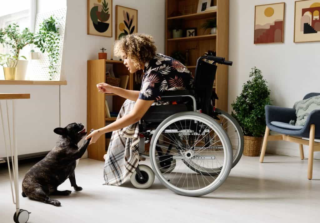 African girl sitting in wheelchair and giving commands to her dog, she training it and spending time with dog during her rehabilitation at home
