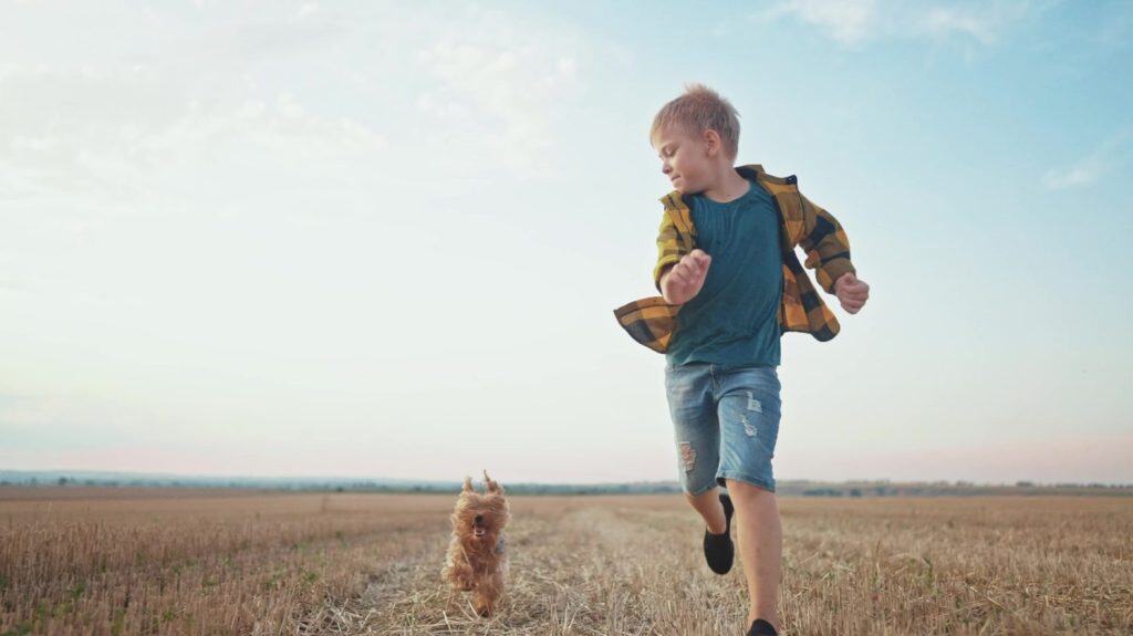 boy and dog running. people in the park. little kid child running across a mowed wheat field with a pet dog happy smiling. happy family kid concept. child boy run the park with dream dog