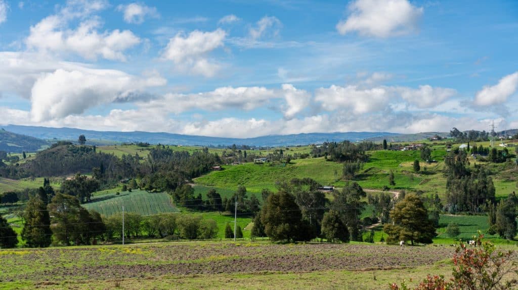 Colombian landscape of farms with crops and grazing cows