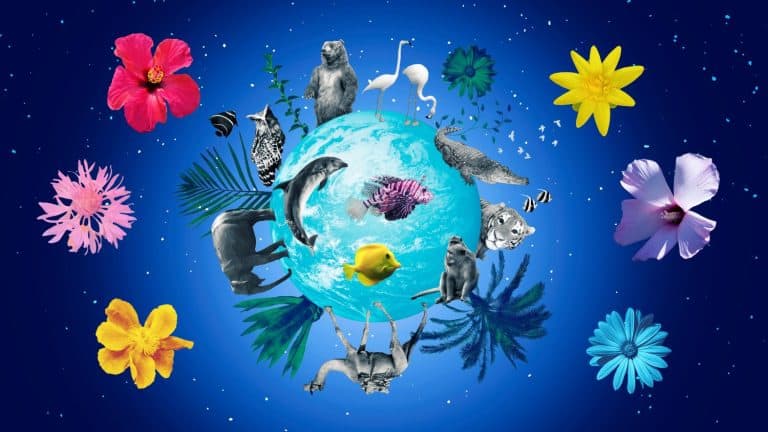 World animals day collage - concept with globe - art design with animals