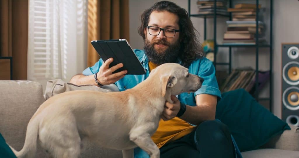 A cheerful man sits comfortably on the couch, shopping online on his tablet while his dog jumps beside him, seeking attention with a nudge.