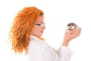 Veterinarian girl with hedgehog isolated in white