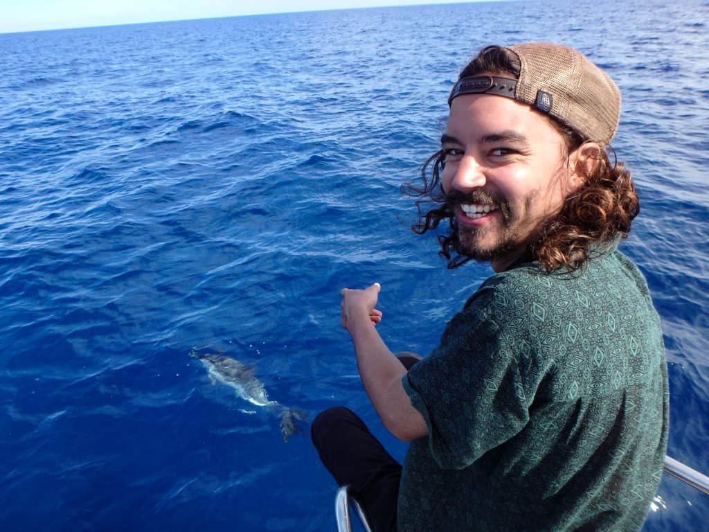 Happy tourist having fun on a whale watching tour, with dolphins swimming and playing under the sailboat, in Mallorca, a balearic island, Spain. Could be Azores, Greek or Italian trip.