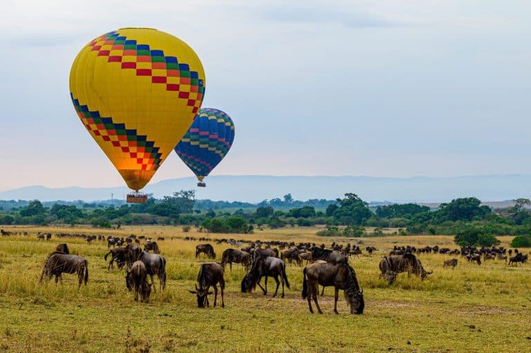 Balloon safari in Maasai Mara, Kenya with Wildebeest migration beneath.