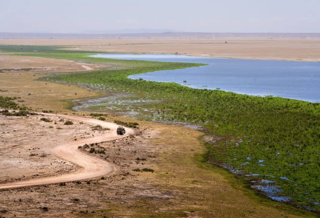 masai mara in the dry season