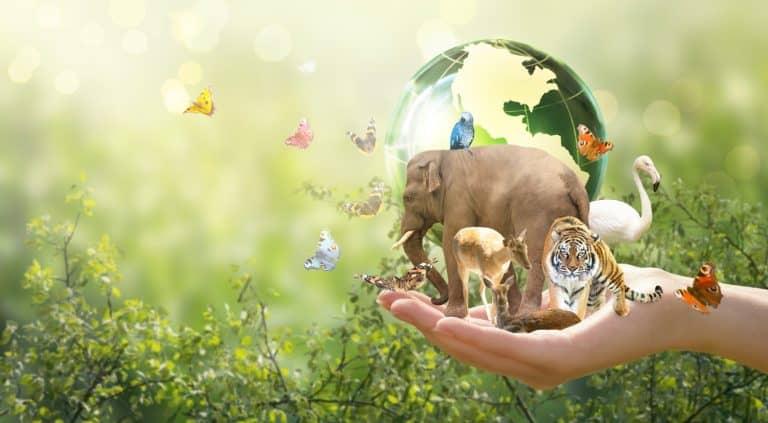 International day for biodiversity or World Wildlife Day concept. Save planet, protect nature and endangered species, biological diversity. Wild animals, Earth globe and flock of butterflies in hand.