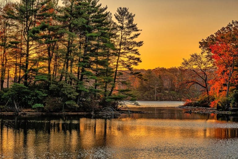 Harriman State Park, located in Rockland and Orange counties,