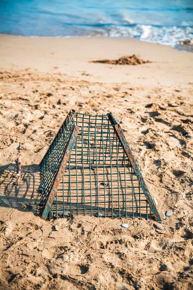 Rusty metal cage surrounding a sea turtle nest on a sandy beach, providing essential protection for hatching eggs and supporting vital conservation efforts for endangered species