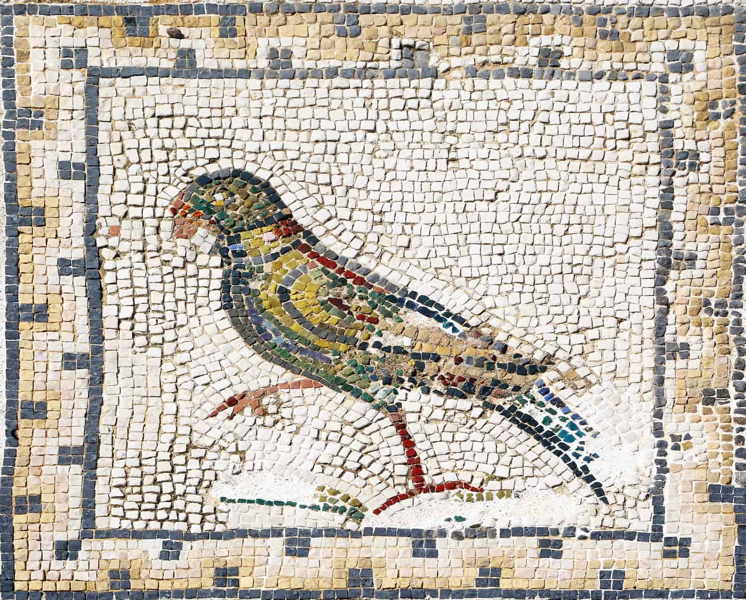 Ancient roman mosaic representing a parrot, Sevilla