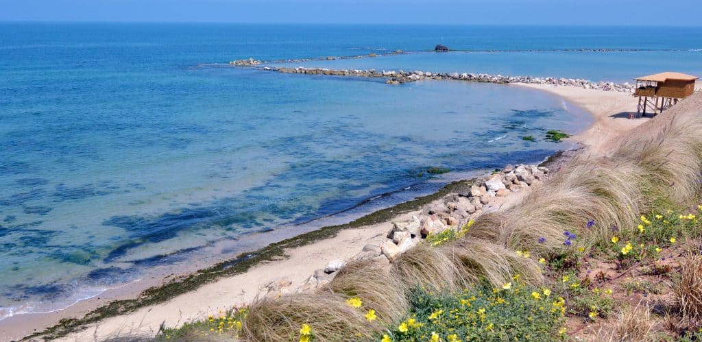 Panoramic aerial view of an empty Mediterranean Sea beach in Bat Yam, Israel. No people. Copy space