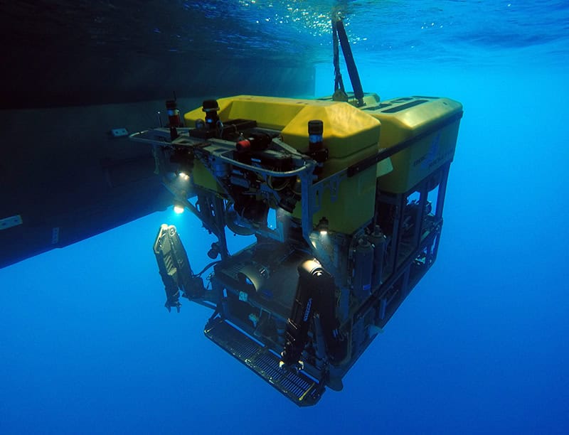 ROV Dock Ricketts