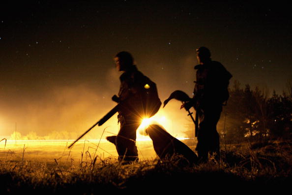 Duck Shooting Season In New Zealand