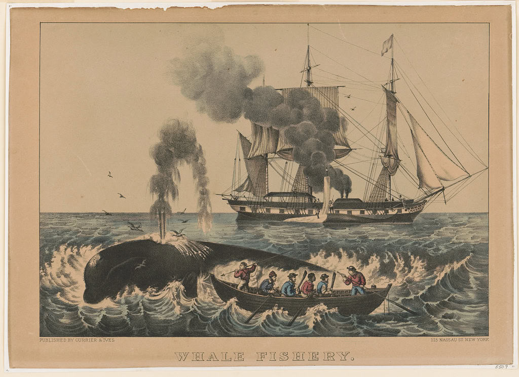 drawing of ship in background, whale in foreground spouting while men in boat try to spear it.