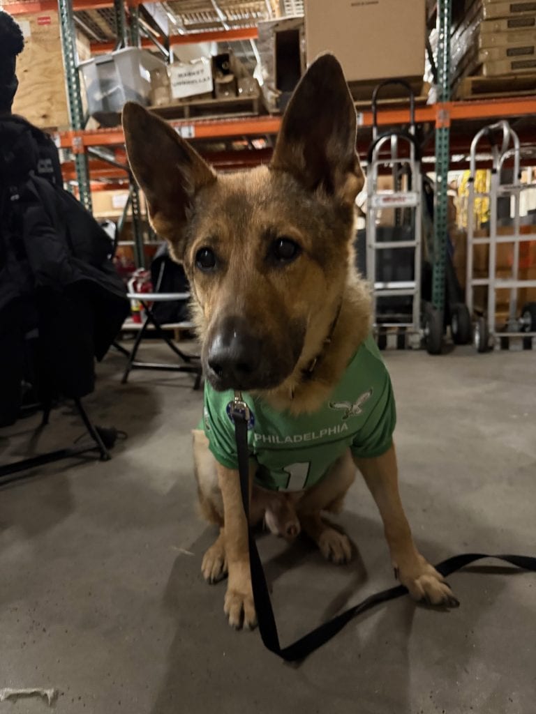 K9 Tambo