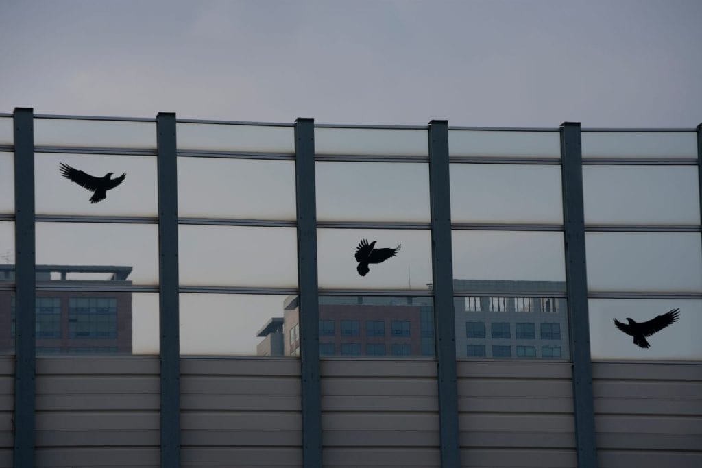 A Glass soundproof wall with anti-Collision Stickers to Prevent Bird Strikes in Korea.