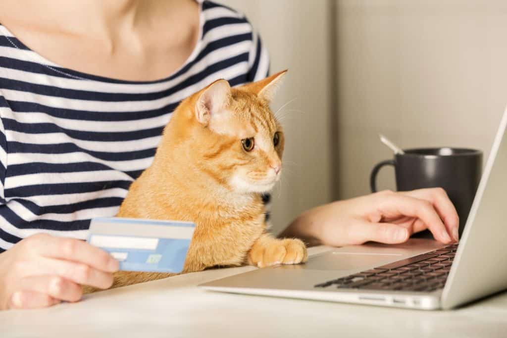 A woman holds a credit card and is happily shopping online in her bed. And there is a cat beside. Concepts online shopping , life style, stay home, banks, financial transactions.