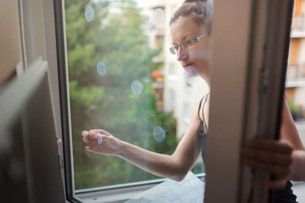 Woman sticking decals on windows for birds. These decals has a special coating that reflects ultraviolet sunlight, which help prevent wild birds from accidentally striking windows.