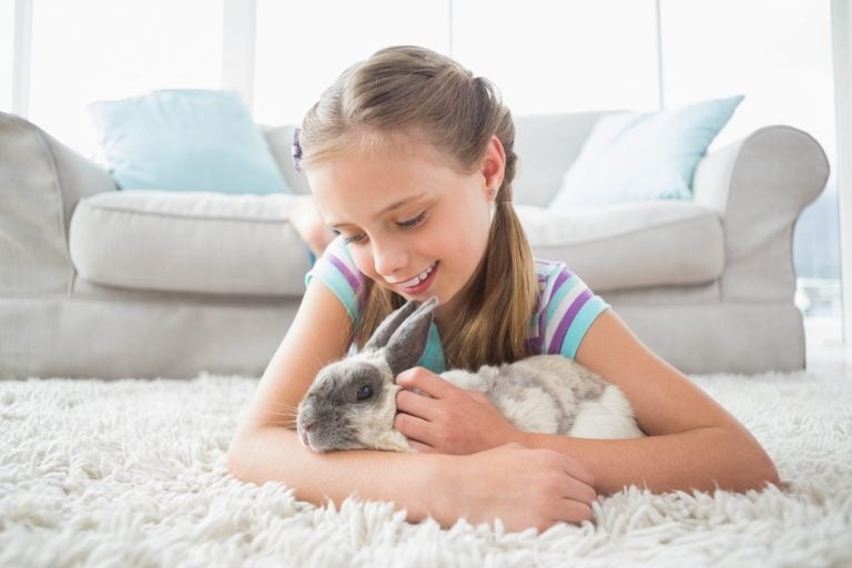 Cute girl playing with rabbit while lying on rug in living room