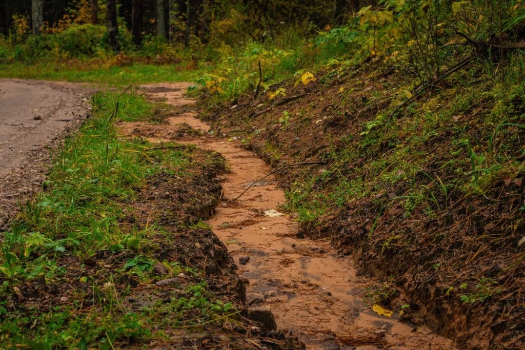 A shallow muddy trench filled with rainwater runs along the edge of a forest road, surrounded by wet grass and autumn plants.