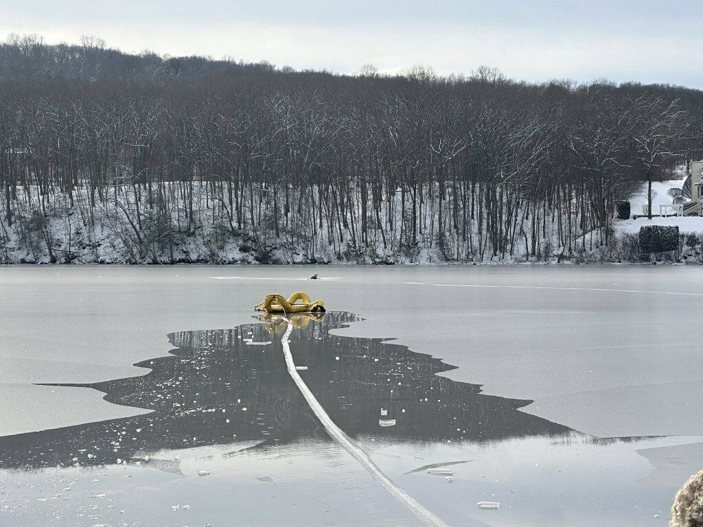 Deer rescued from lake in Connecticut