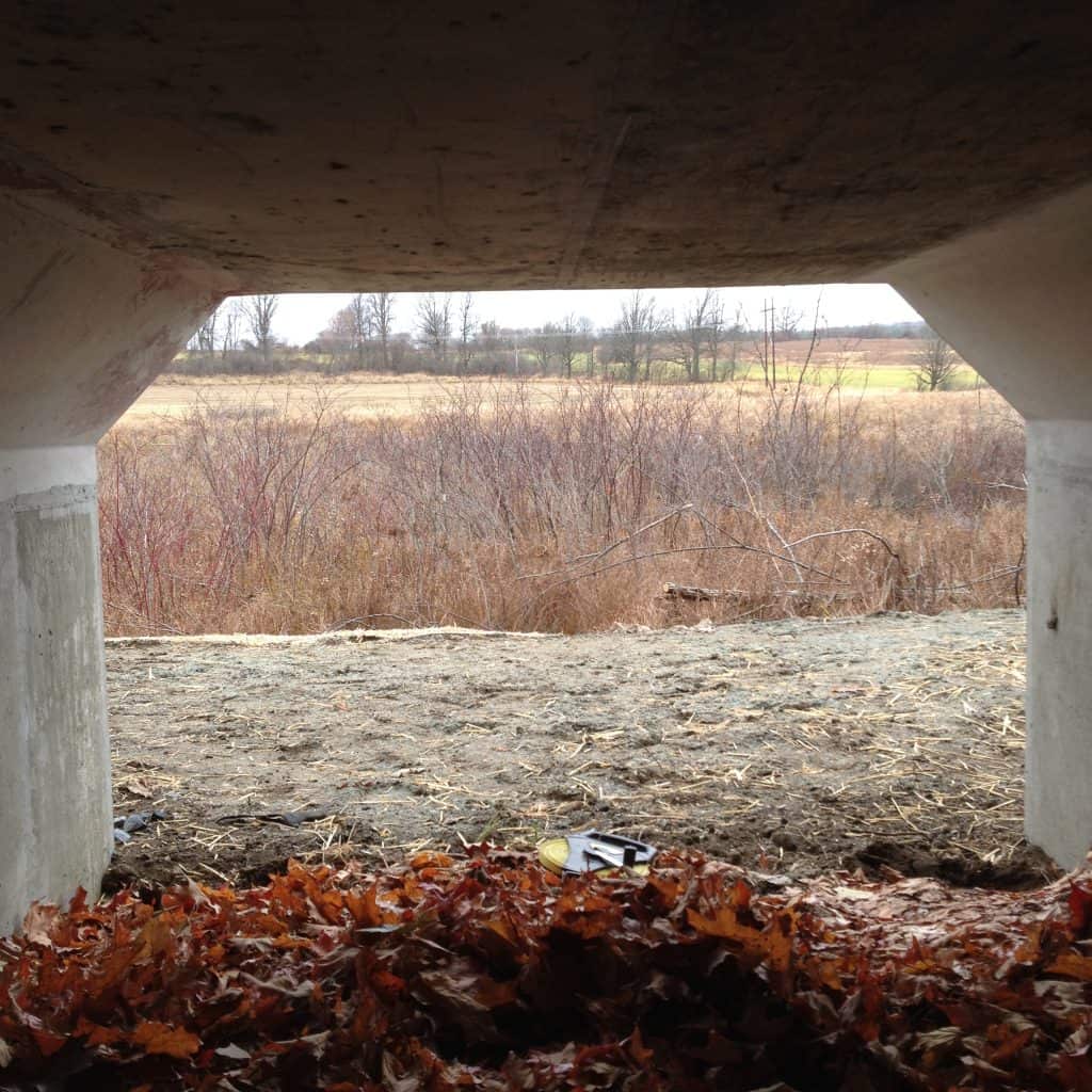 ONLY TO BE USED WITH ARTICLES ABOUT AMPHIBIAN UNDERPASSES IN VERMONT