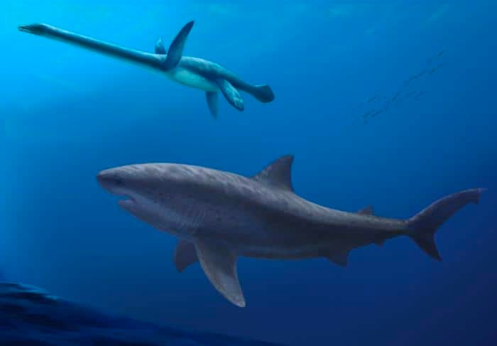 その他 shark predator '23 10 Shark Digital Art, Ocean Predator Illustration, High-resolution