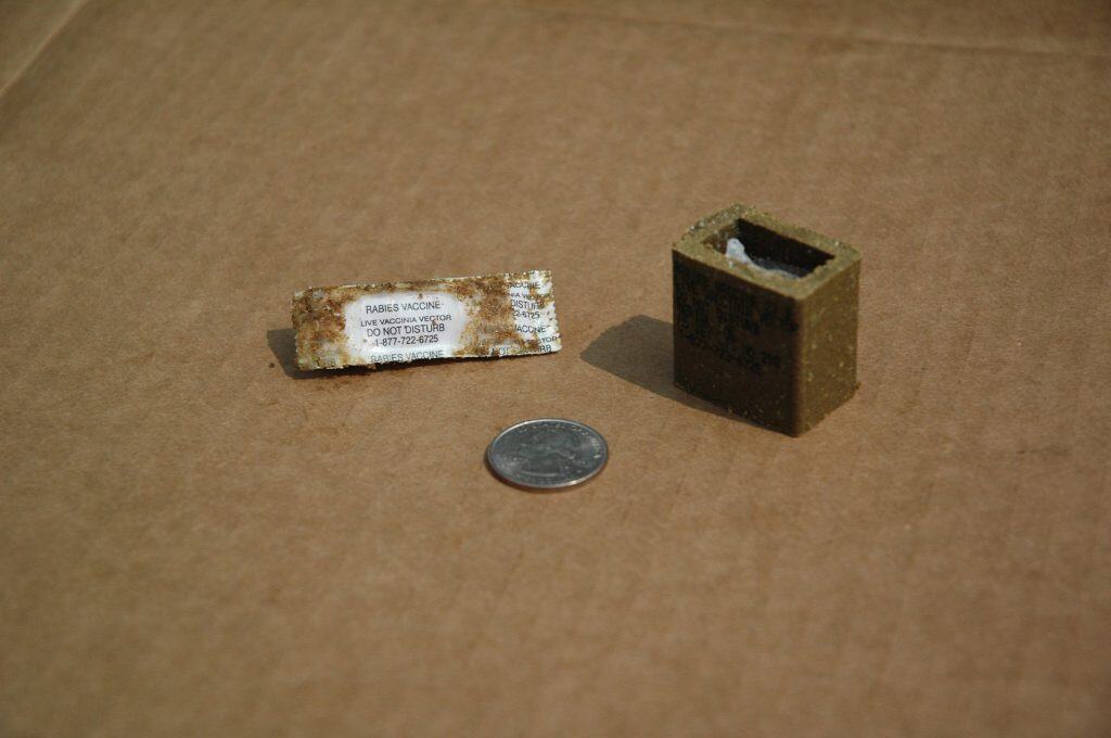 3 objects against a brown cardboard background: packet labeled rabies vaccine, U.S> quarter, and brown box-like thing