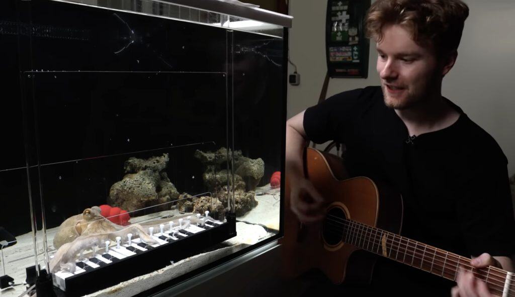 Mattias Krantz and his octopus, Tako